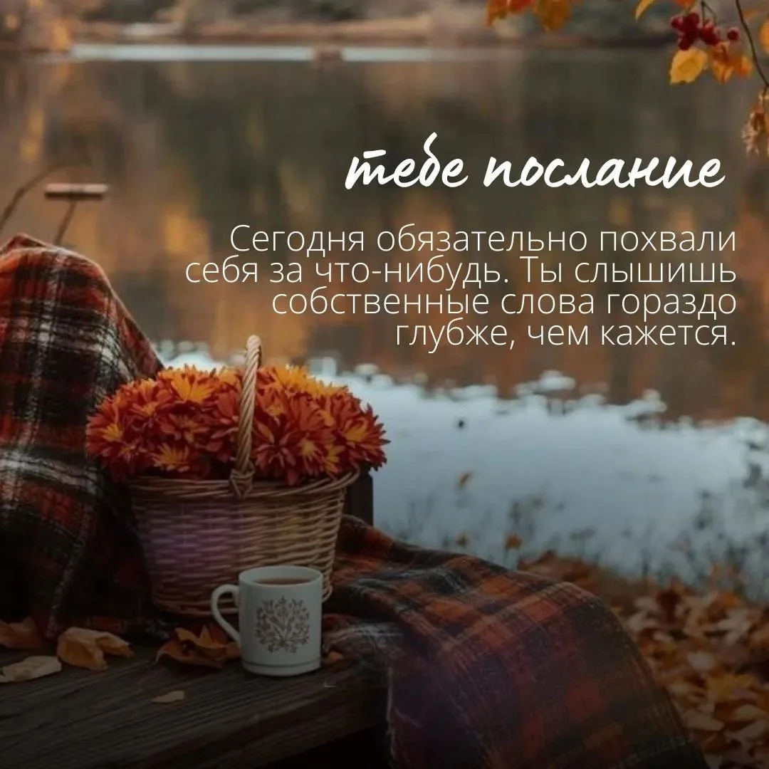 Самого яркого дня Марса, Дорогие мои