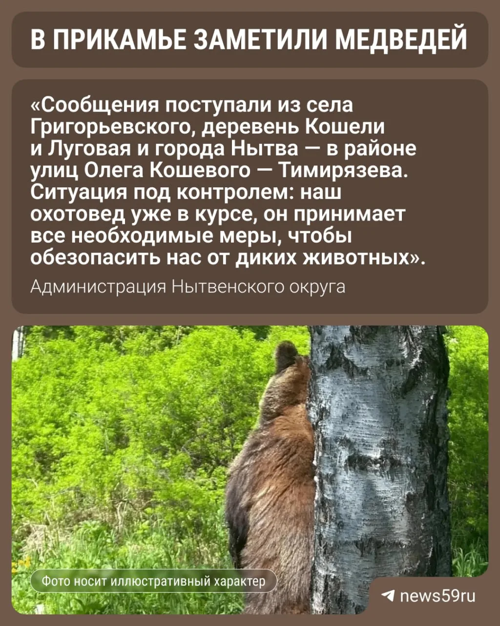 «В нескольких населенных пунктах замечены медведи»