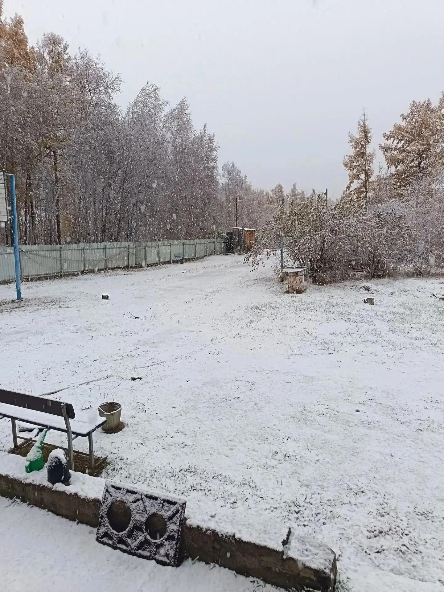 ❄️На Арахлее уже все белым бело!