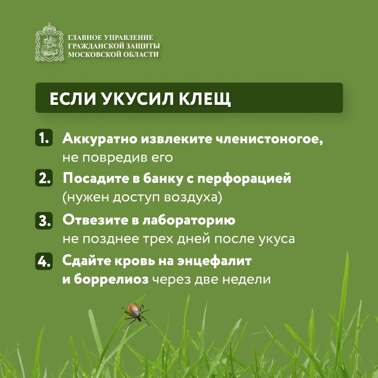 🌱 Май и июнь — пик активности клещей!  🦠 Клещи могут переносить опасные заболевания, такие как энцеф