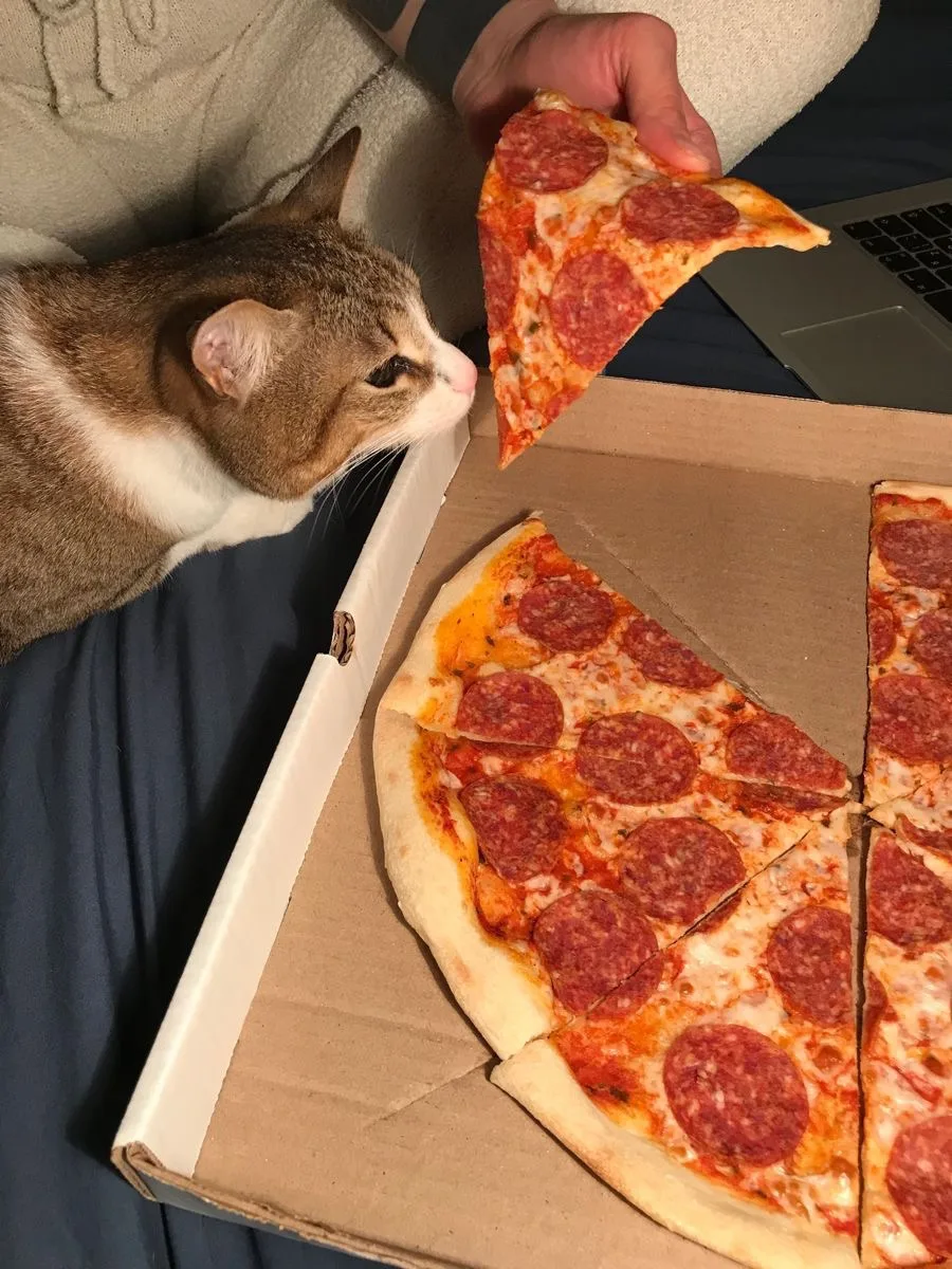 🍕и снова РОЗЫГРЫШ ПИЦЦЫ