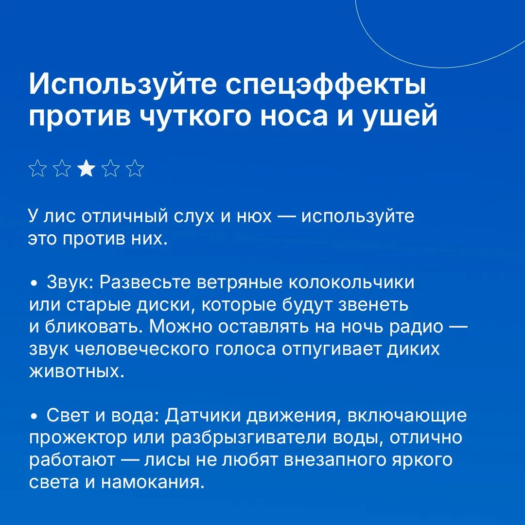 Лиса — зверь хитрый и красивый. Но соседство с ней в загородном доме может обернуться проблемами: ра