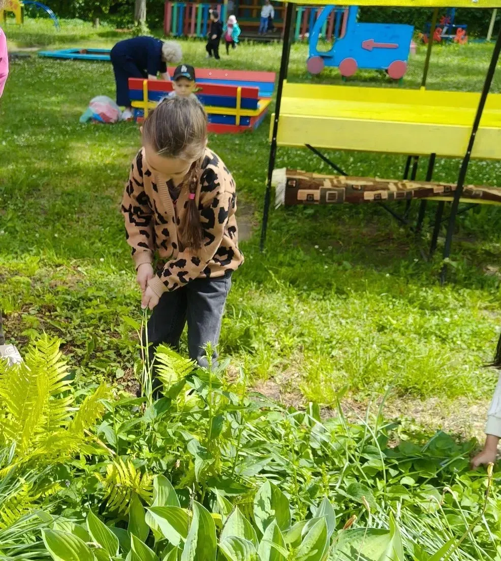 Я в саду цветы ращу,🌺 Без цветочков я грущу.🌼
Садик мой благоухает,
Пчелок в гости собирает!🐝
Лет