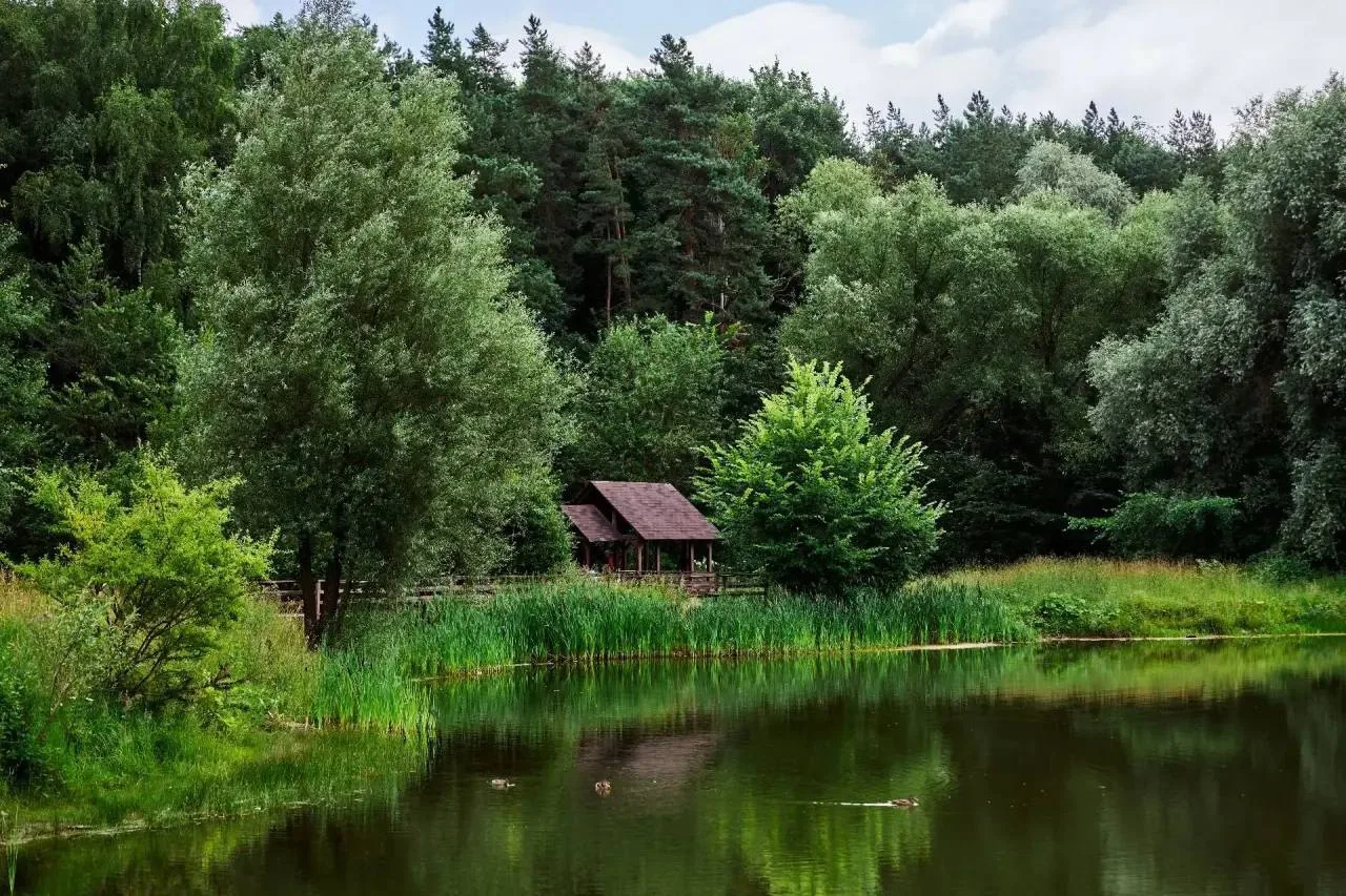 🌳 Тропаревский парк — почувствовать природу, не уезжая из города