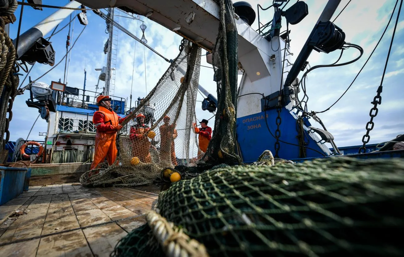Оперативные данные: российские рыбаки добыли свыше 2 млн тонн 🐟