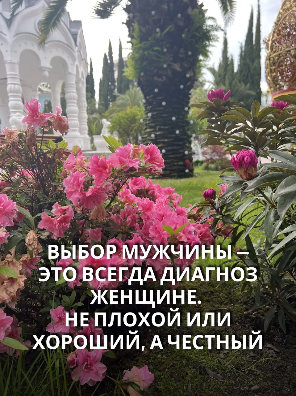 Выбор мужчины — это всегда диагноз женщине. Не плохой или хороший, а честный.

➡️Ищете слабака — вы 