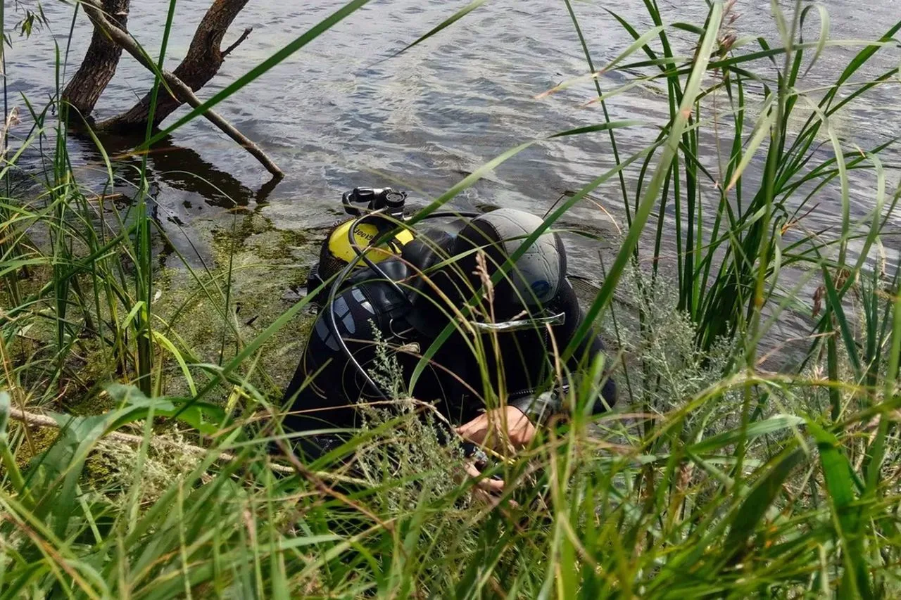 В Самарской области мужчина прыгнул с берега в воду - и погиб

Как сообщили 28 июля 2026 года в ПСС 