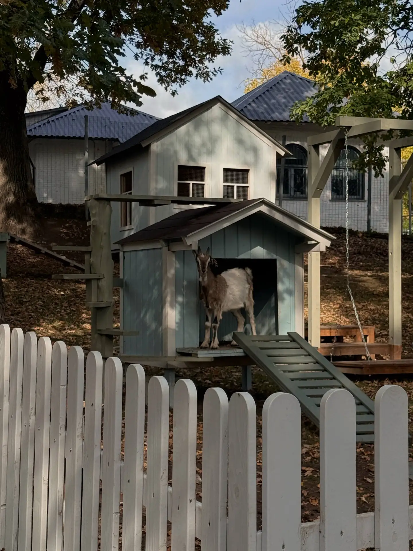 Сегодня были на Городской ферме на ВДНХ 🐐🍂