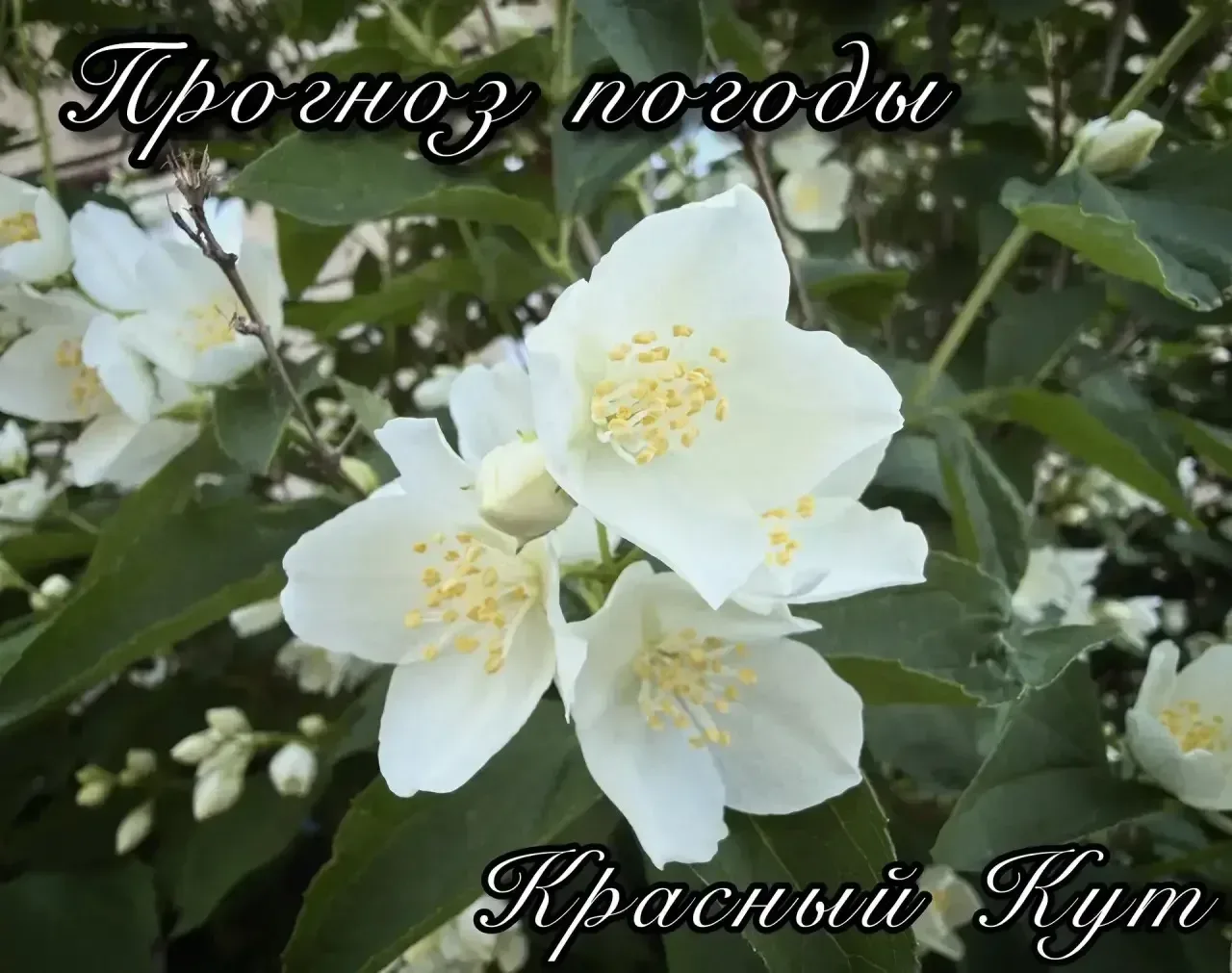 Прогноз погоды