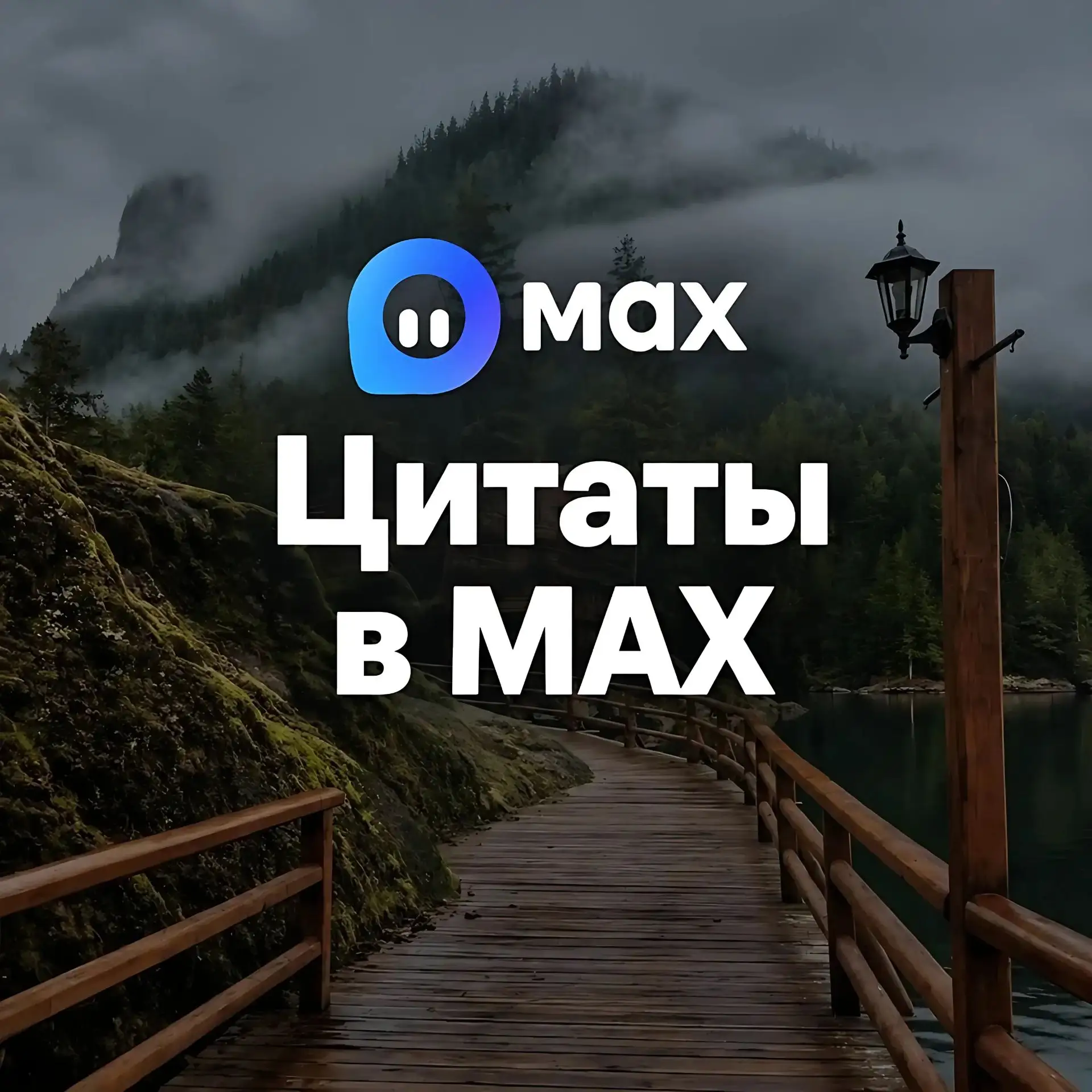 ЦИТАТЫ В MAX