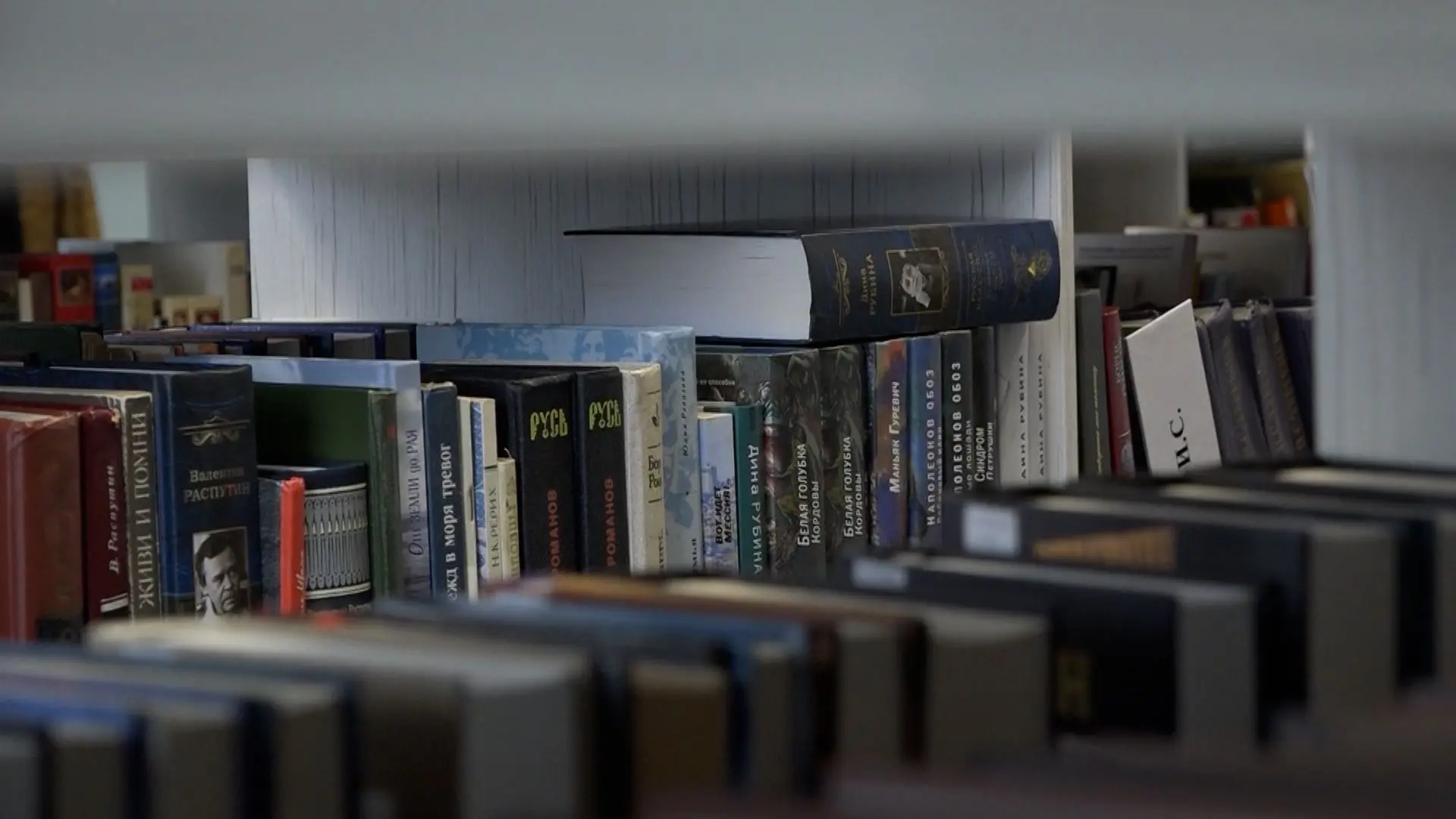 Более 9 000 новых книг поступило в модельные библиотеки Карелии 📚