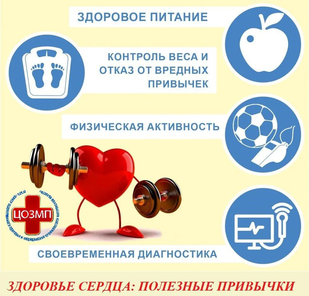 Шесть правил для здорового сердца и сосудов
