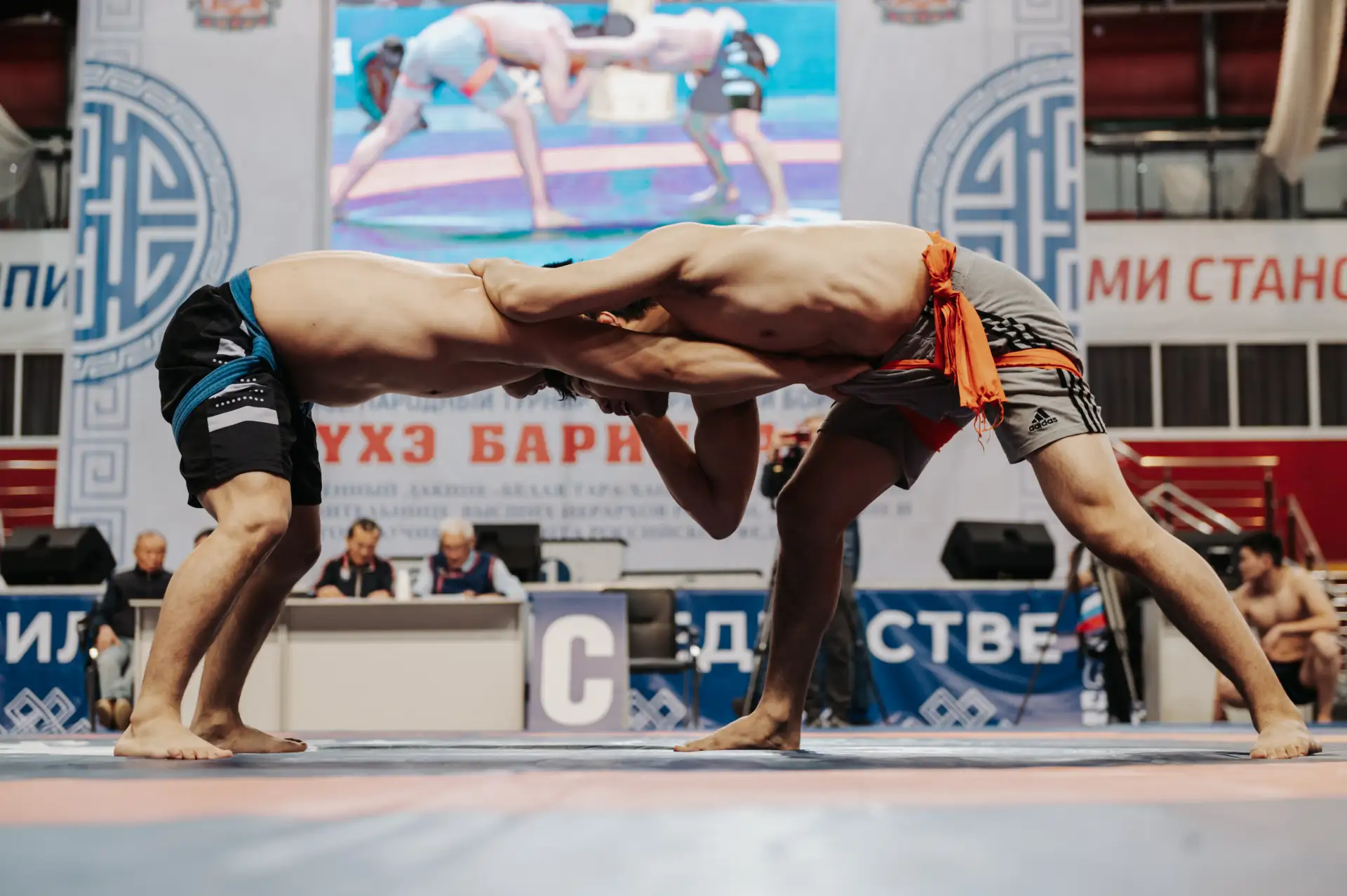 Дорогие земляки!  Сегодня в Физкультурно-спортивном комплексе проходит наш традиционный большой турн