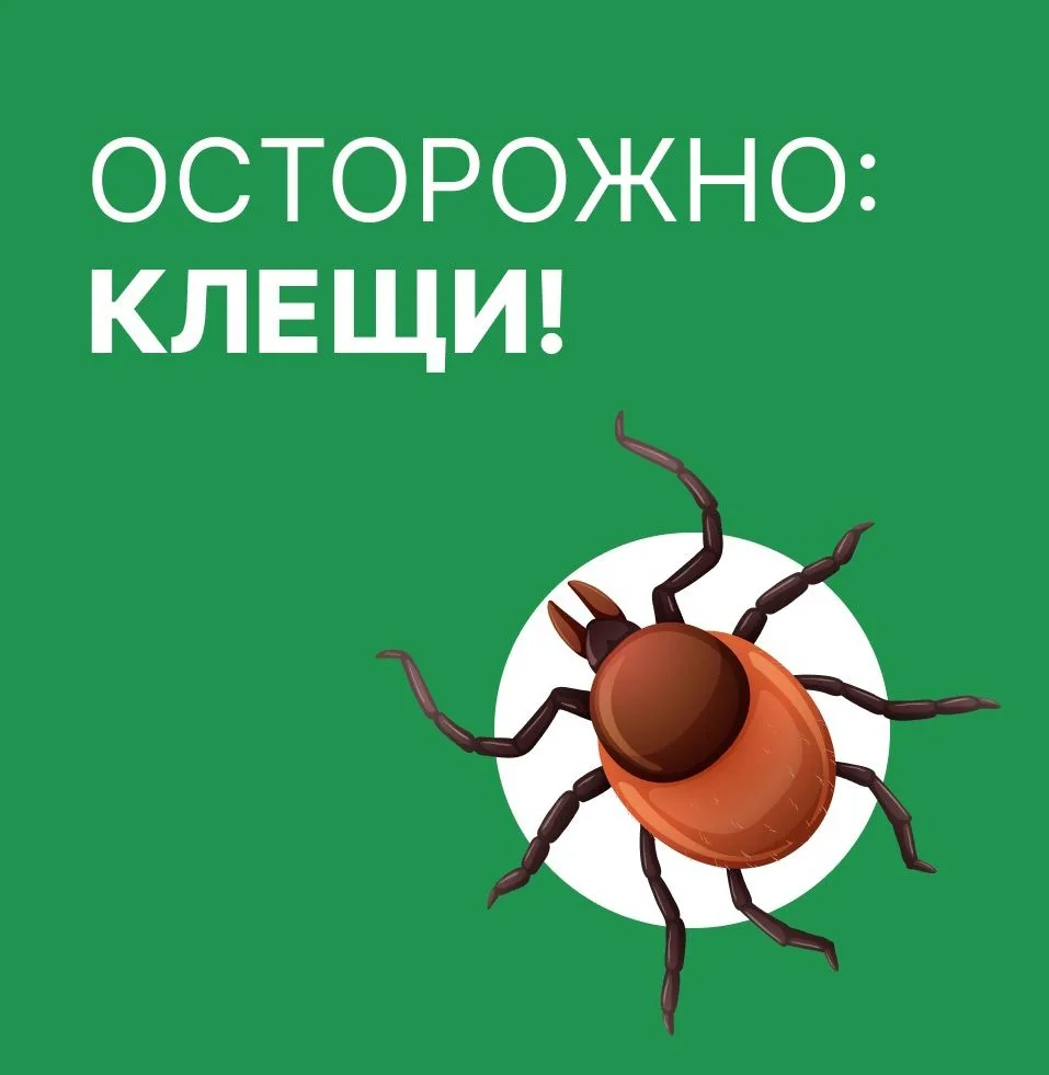 В период с 27 апреля по 10 мая 2026 года Управление Роспотребнадзора по Удмуртии провод...