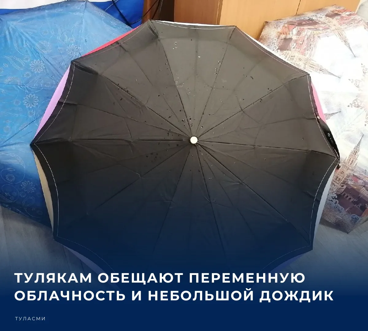 Сегодня днем в Туле и области столбики термометров в дневные часы поднимутся до 21-23 г...
