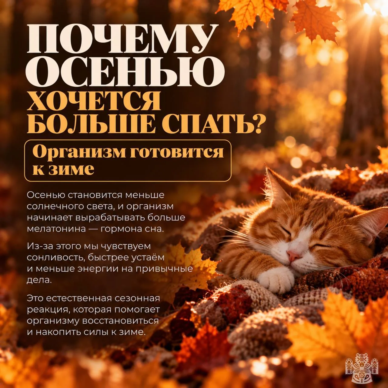 Изображение 6 к публикации «Новости Владивостока и Края»