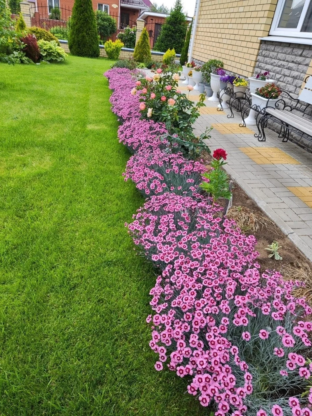 💐 Подведены итоги конкурса «Цвети, Первомайский район»