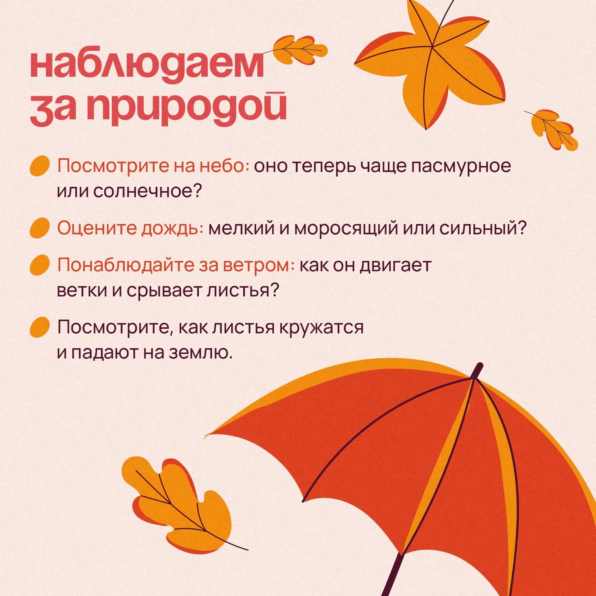 🍂  Следом за летом осень идет. Желтые песни ей ветер поет