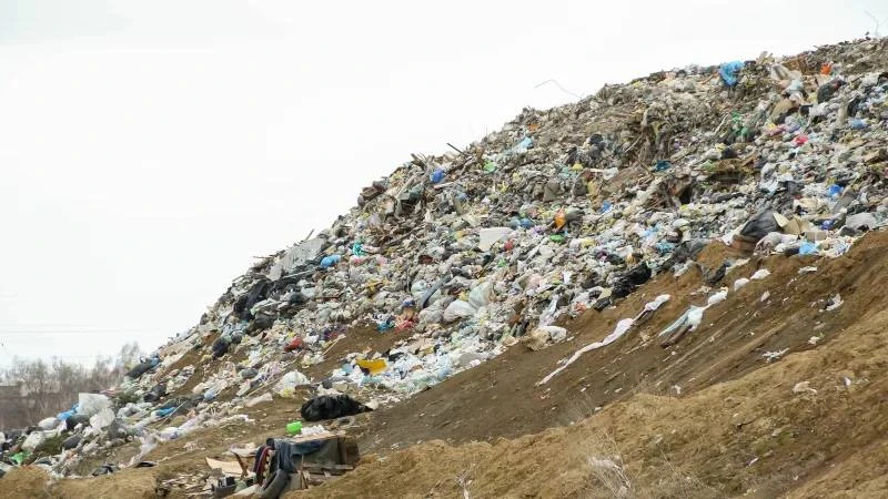 ♻️В пригороде Барнаула планируют убрать три нелегальные свалки