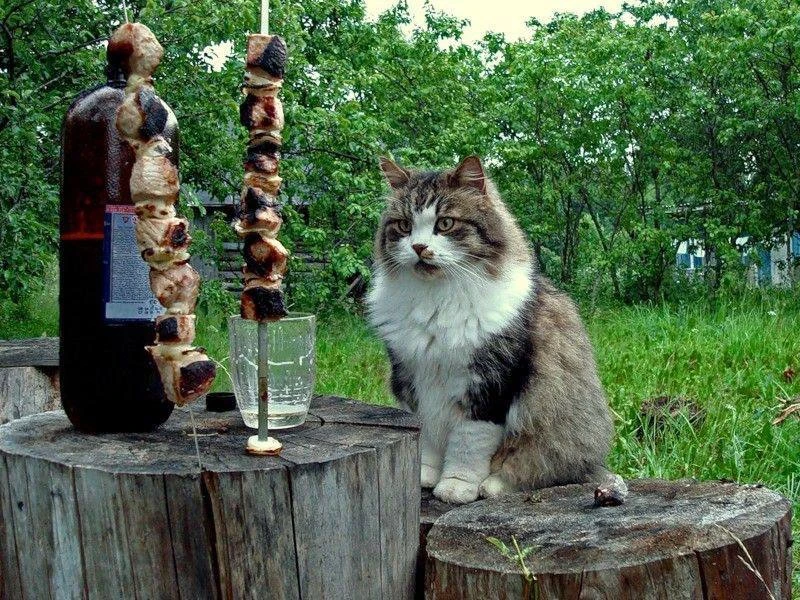 🍖В Общественной палате предложили сделать майские праздники непрерывными