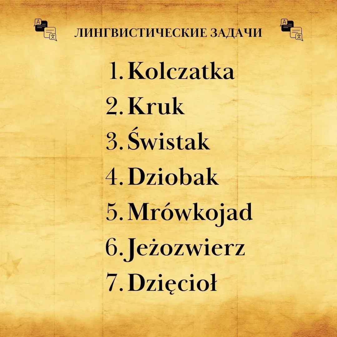 Животные на польском языке в нашем новом лингвистическом задании!