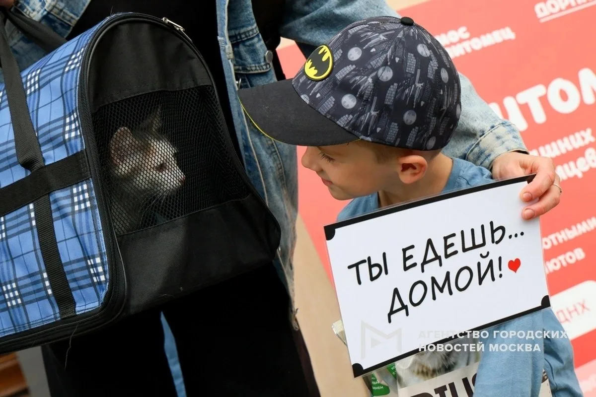 Выходные у нас выдались супер - интересные и необычные😅

Мы обрели нового пушистого друга 🫶