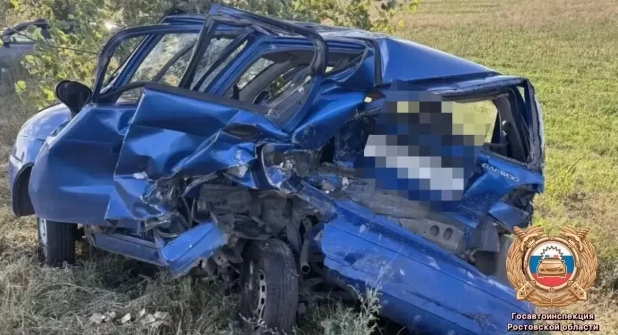 Смертельная авария произошла в Багаевском районе утром 2 октября. Как сообщили в ГАИ, о...