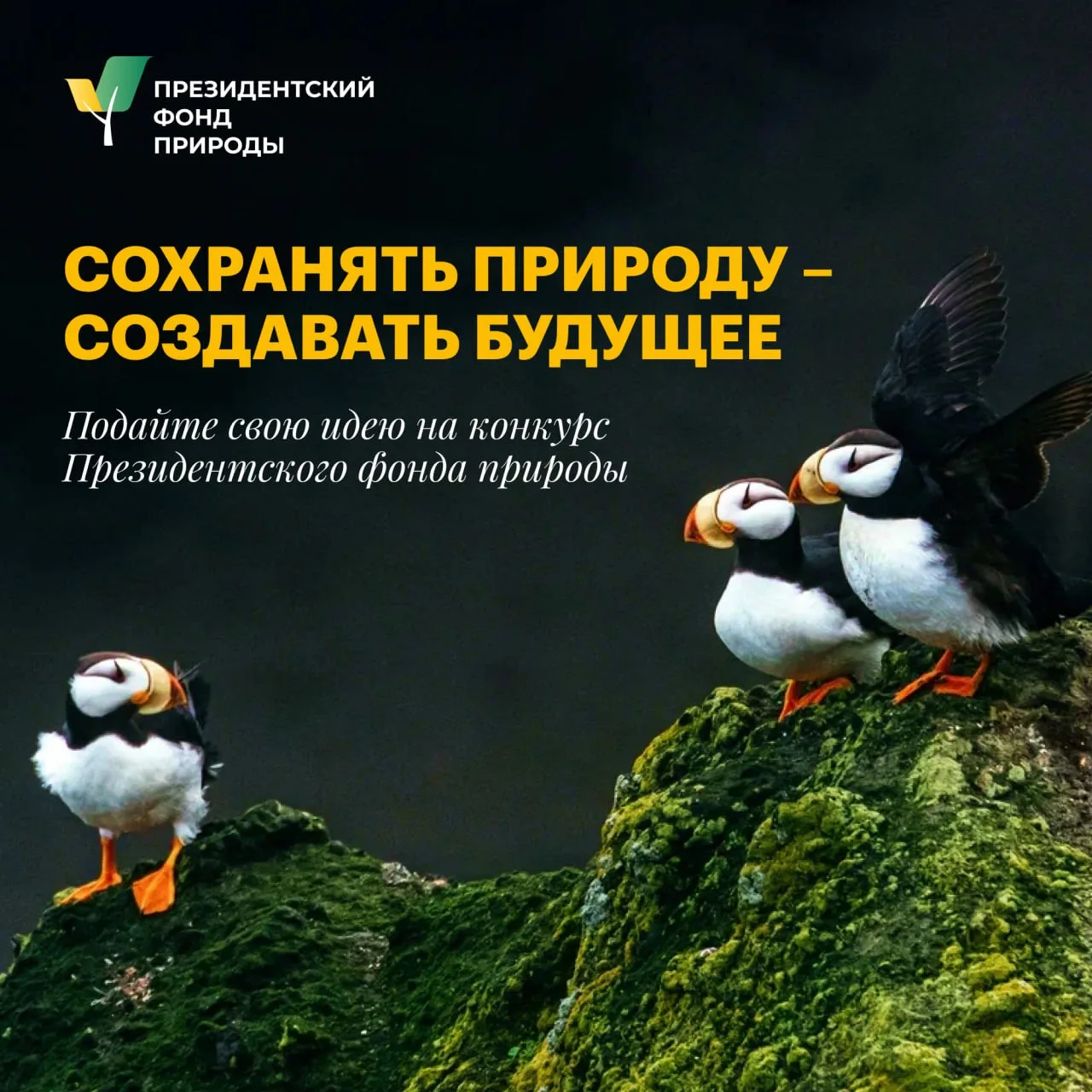 💚 Совсем скоро стартует конкурс Президентского фонда природы 2027 года. А значит, само...