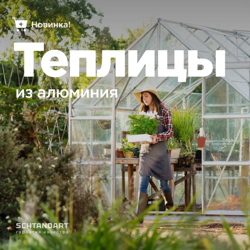 Добрый день, уважаемые партнёры!☀️