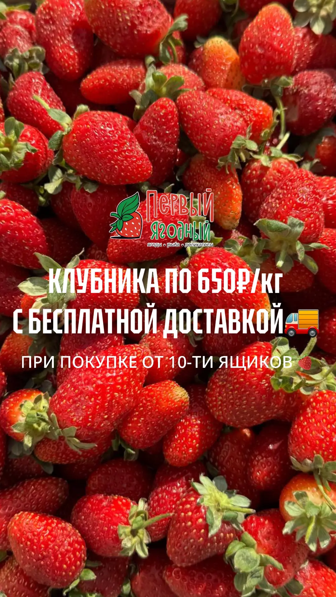 🍓 КЛУБНИКА ОТ 10-ТИ ЯЩИКОВ  ПО ОПТОВОЙ ЦЕНЕ С БЕСПЛАТНОЙ ДОСТАВКОЙ 🍓  Уже 19-20 апреля в магазинах «