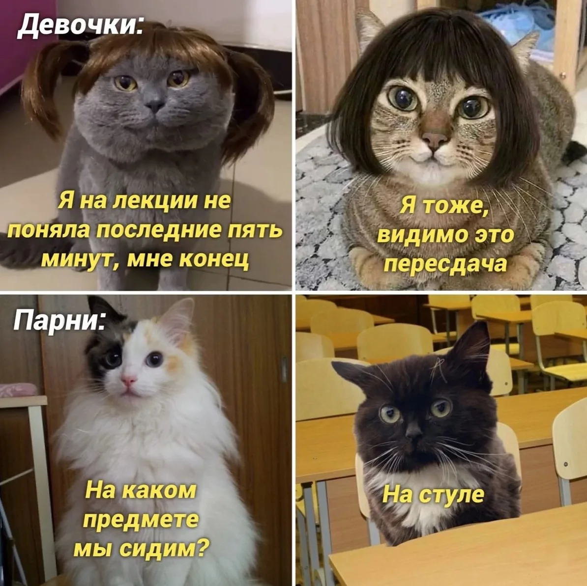 Фото