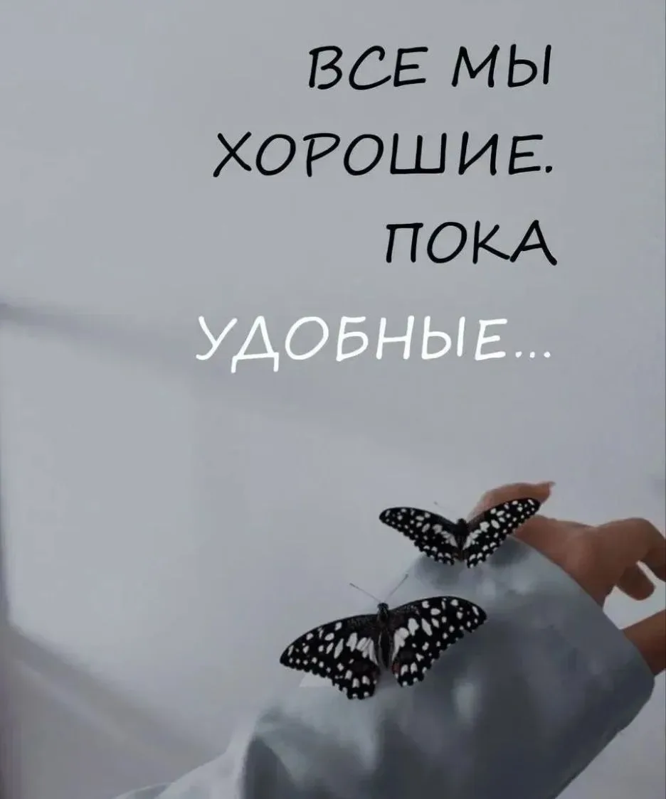 ЗЛОЙ Психолог