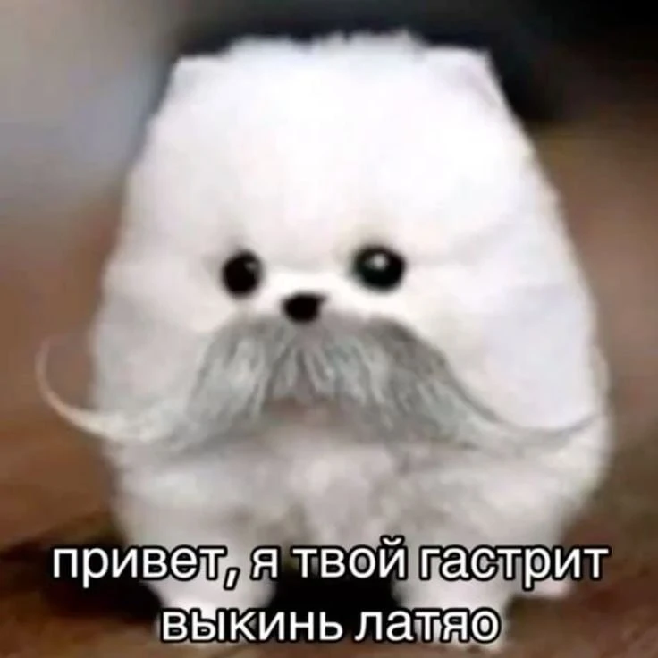 Врач назвала неочевидный симптом гастрита — головная боль после еды.

Боль в висках и затылке после 