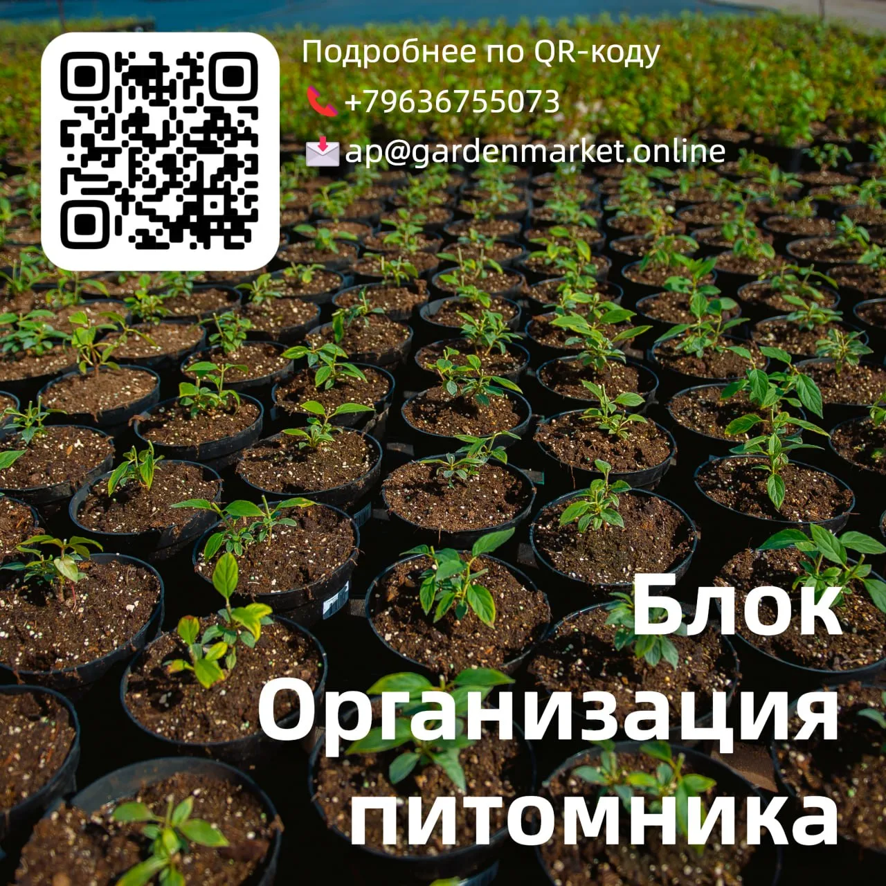 🚜Блок Организация питомника