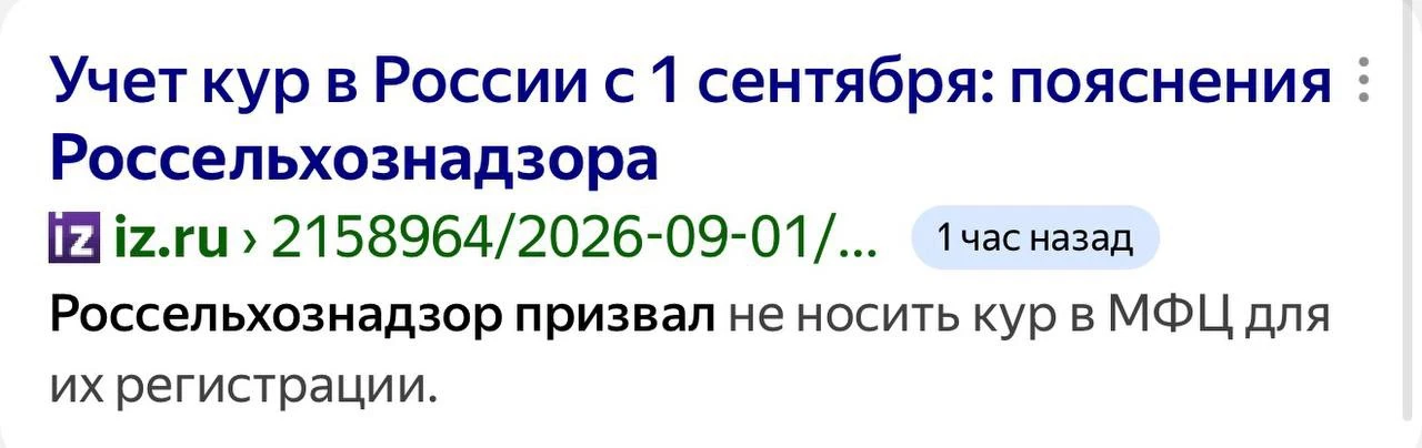 Девочки собирались, намывались, макс скачивали, а они…