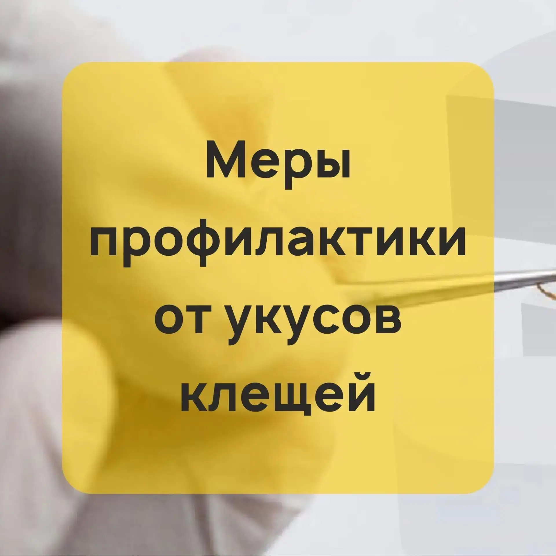 Шлюз | Новосибирск🏡

Меры профилактики от укусов клещей

Департамент по социальной политике мэрии Н