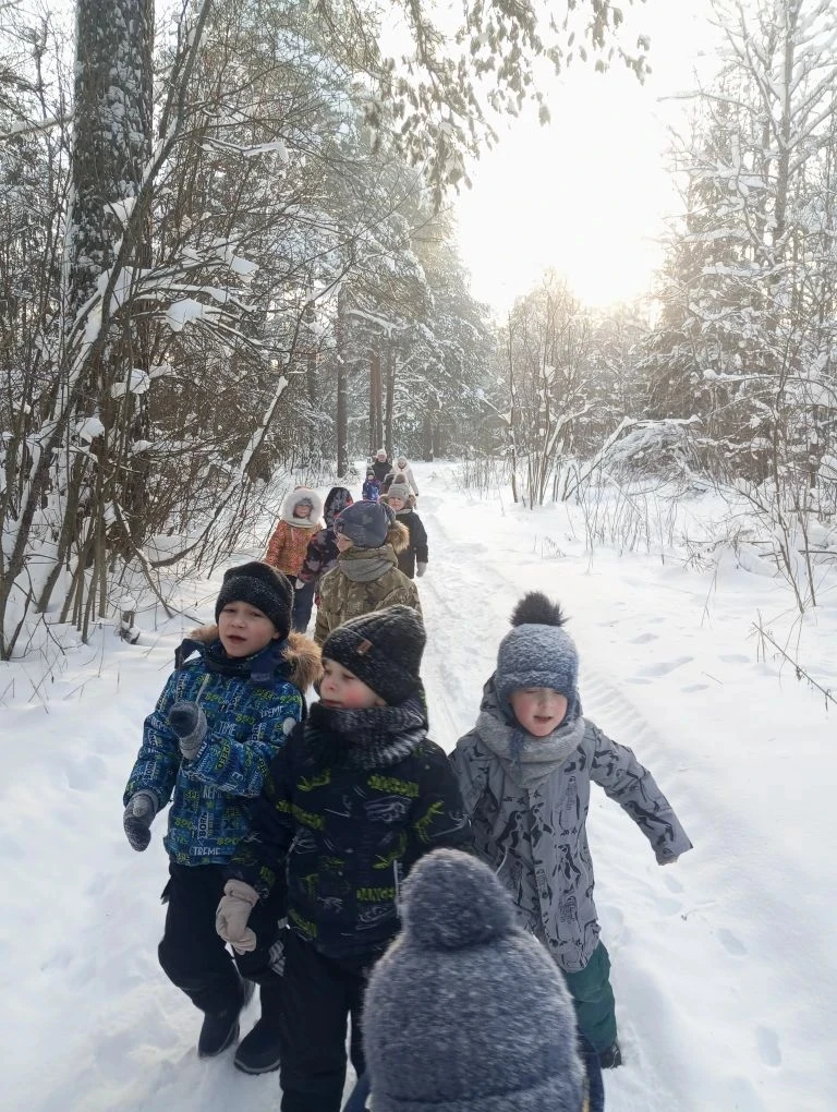 "Прогулка в зимний лес" ❄️❄️❄️