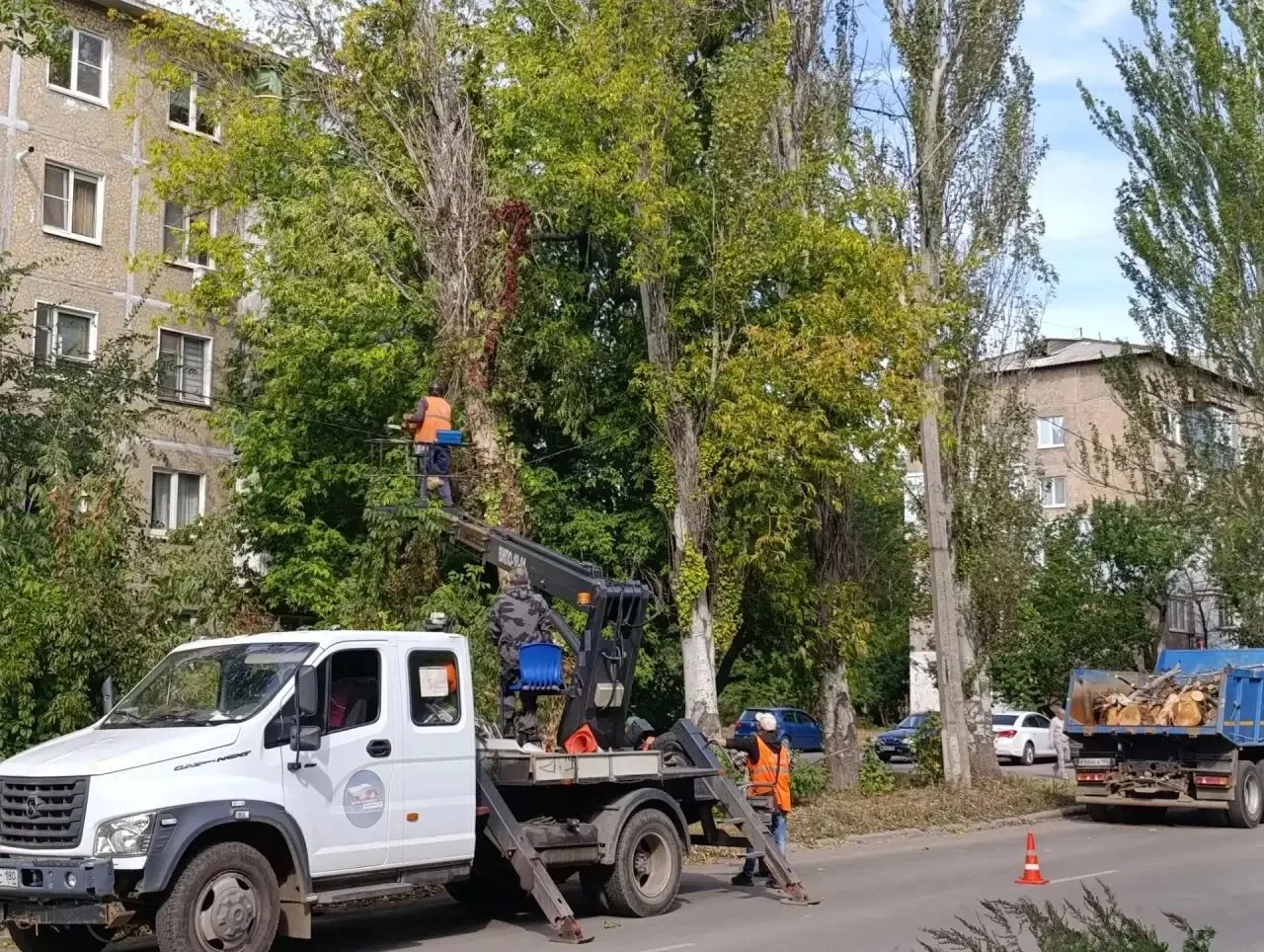 В Центрально-Городском районе убрали два аварийных дерева