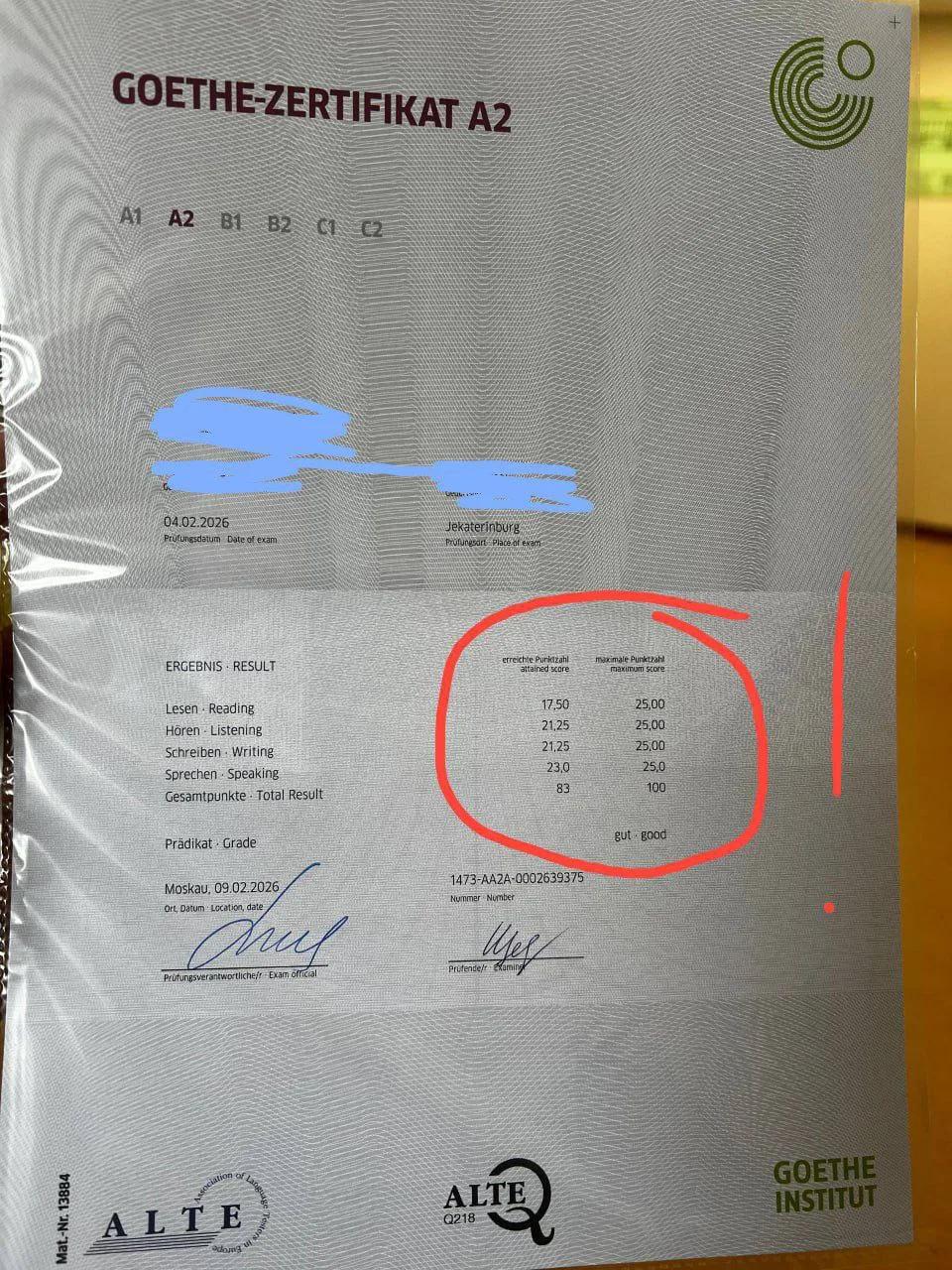 «Я уже столько всего перепробовал сам…»