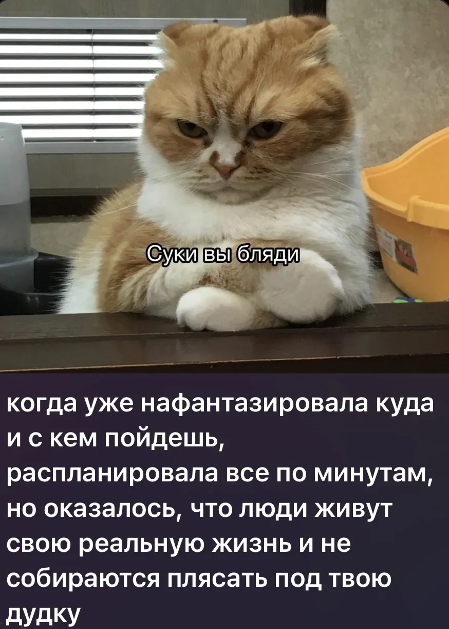 Про субботнюю тишину в чате, когда планировали встречу всю неделю🤭

——————————————————
💘Она из Кра