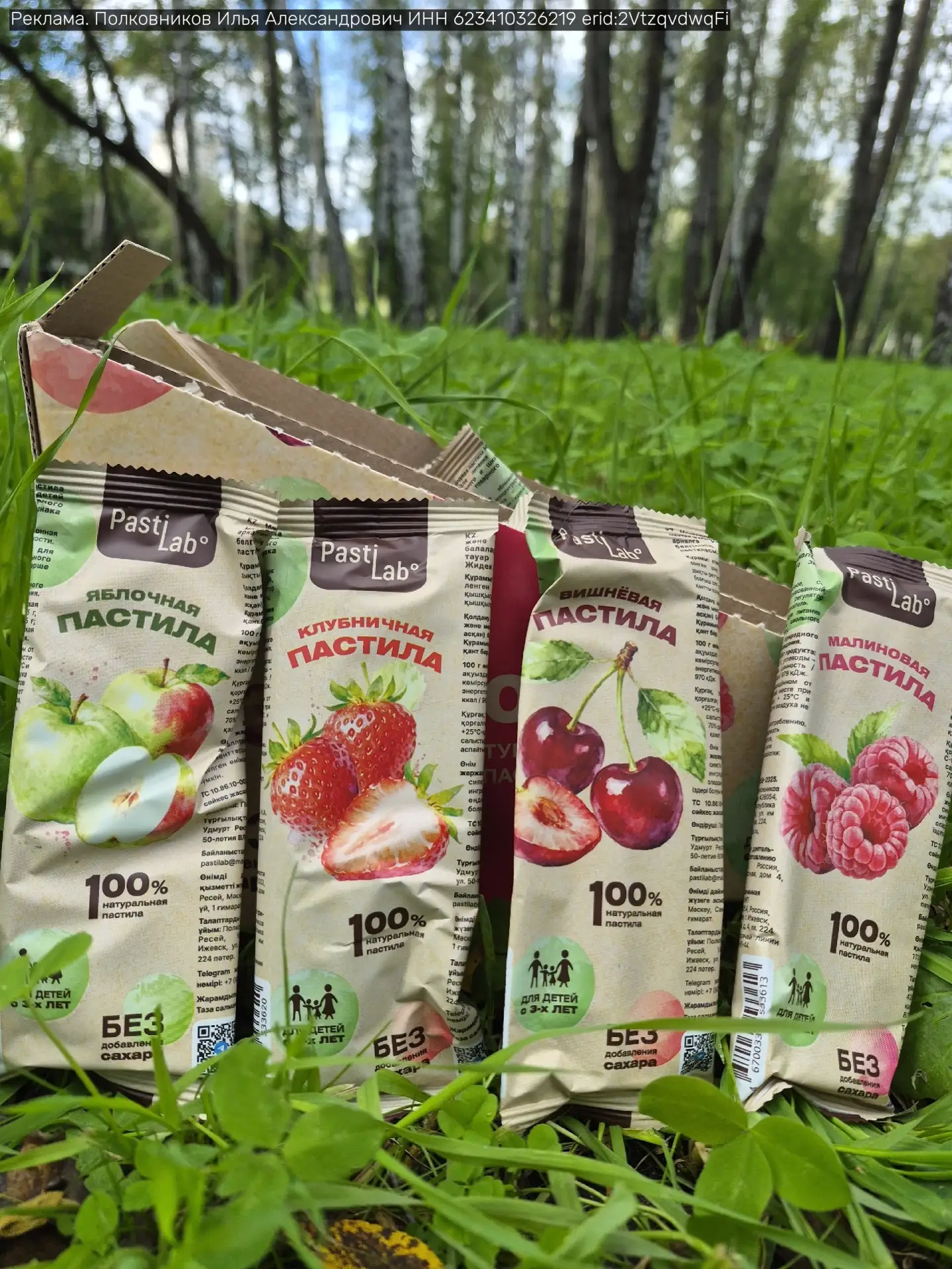 Тонкая фруктовая пастила PastiLab 🍓