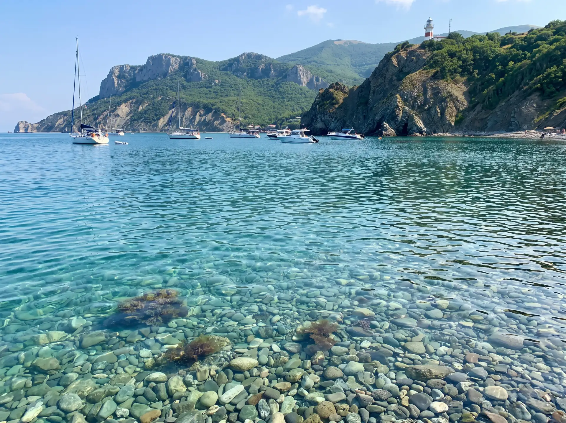 🏖️ Дикие пляжи Большого Утриша: заповедник, можжевеловая роща и дельфины у берега 🌊🌿🐬

Ищете мес