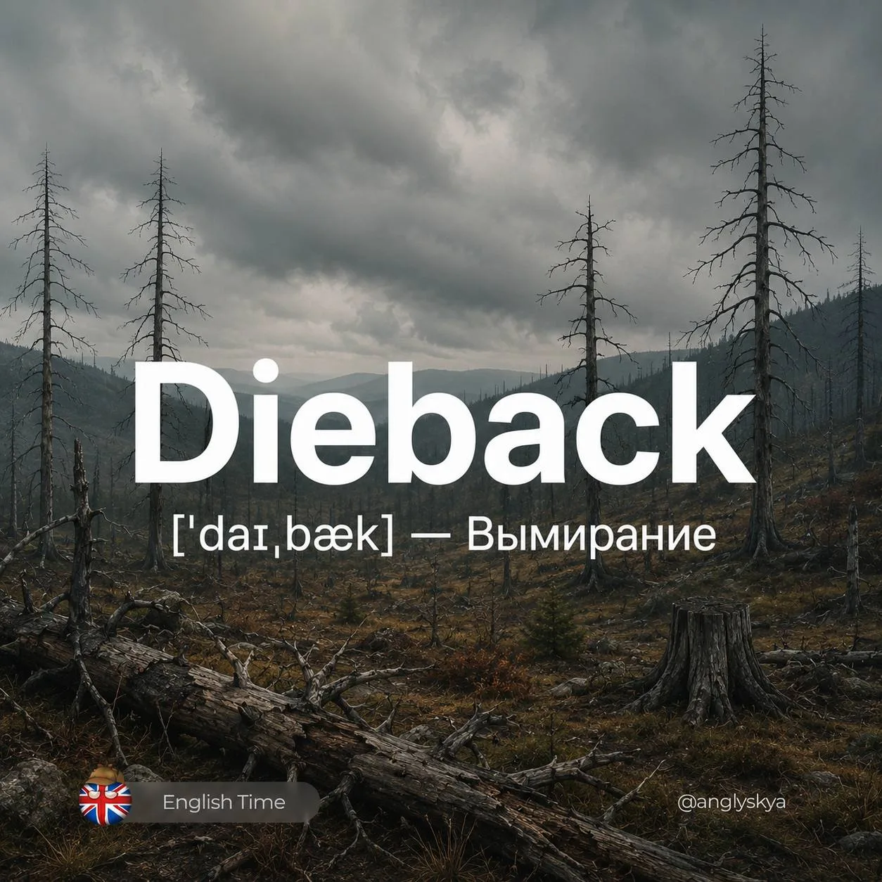 Изображение 1 к публикации «Английский язык | English Time Образование Саморазвитие Путешествия Психология Литература Книги Школы»