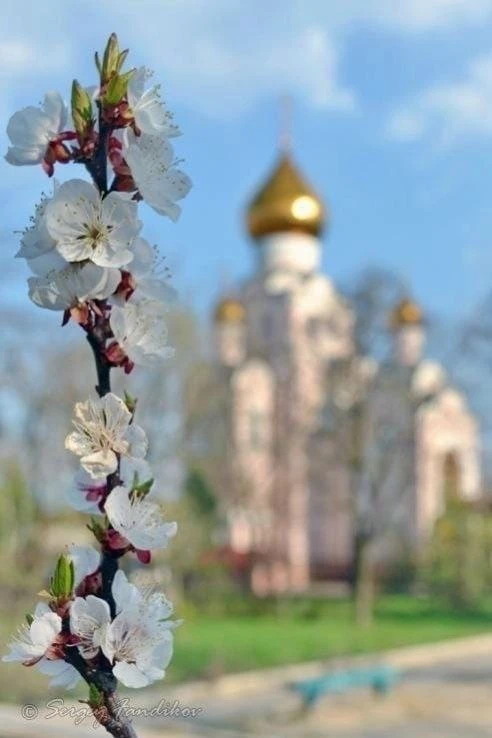 Авва Пимен рассказал братии: «Один человек имел трех друзей. Первому он говорил: «Друг, я в опасност
