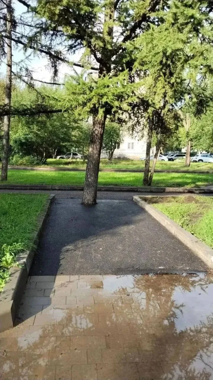 😳Асфальт вокруг ствола: