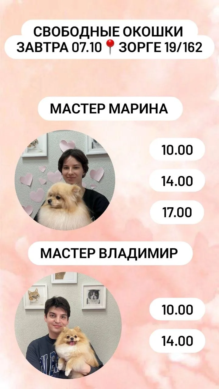 Свободные окошки на завтра🐶🐾