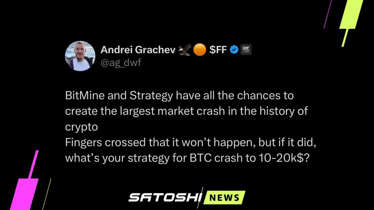 #крипта #мнение
CEO DWF Labs: BitMine и Strategy имеют все шансы устроить самый крупный обвал рынка 