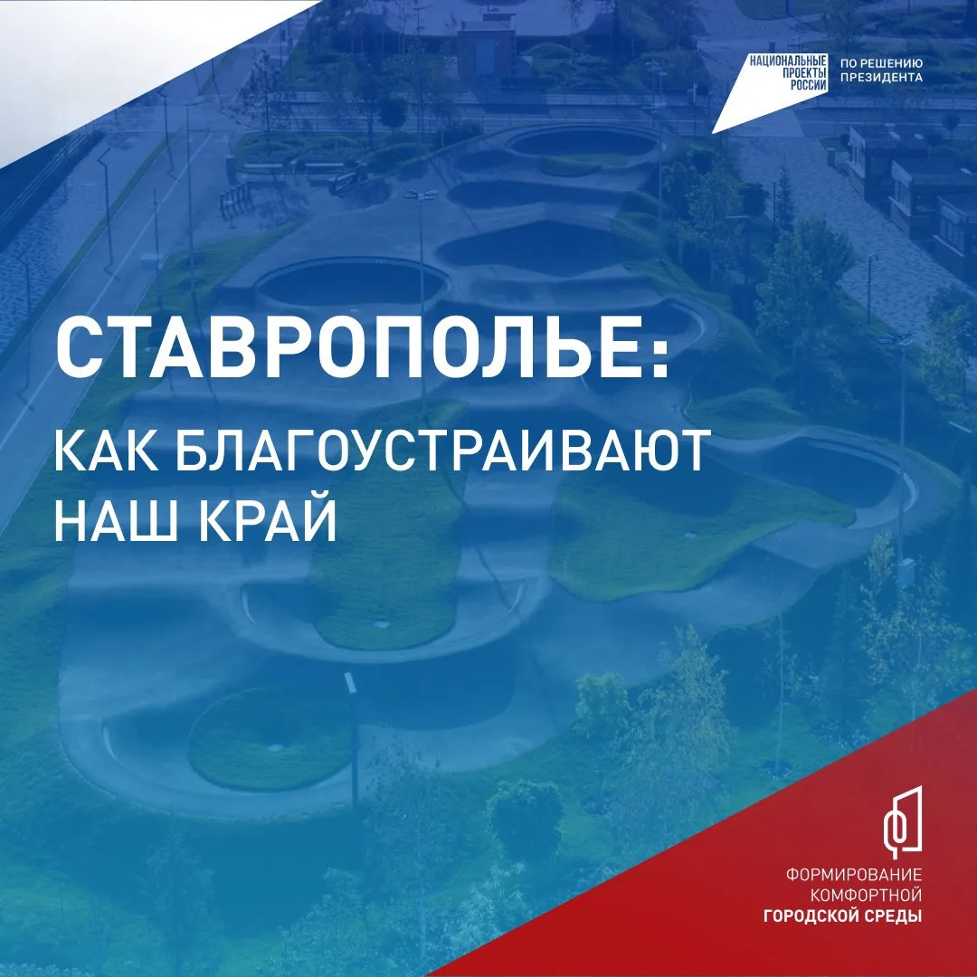А ТЫ ПРОГОЛОСОВАЛ?