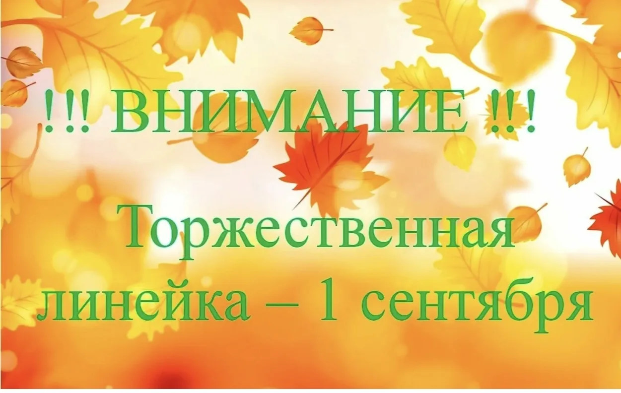 Уважаемые родители и законные представители, торжественные линейки, посвящённые началу ...