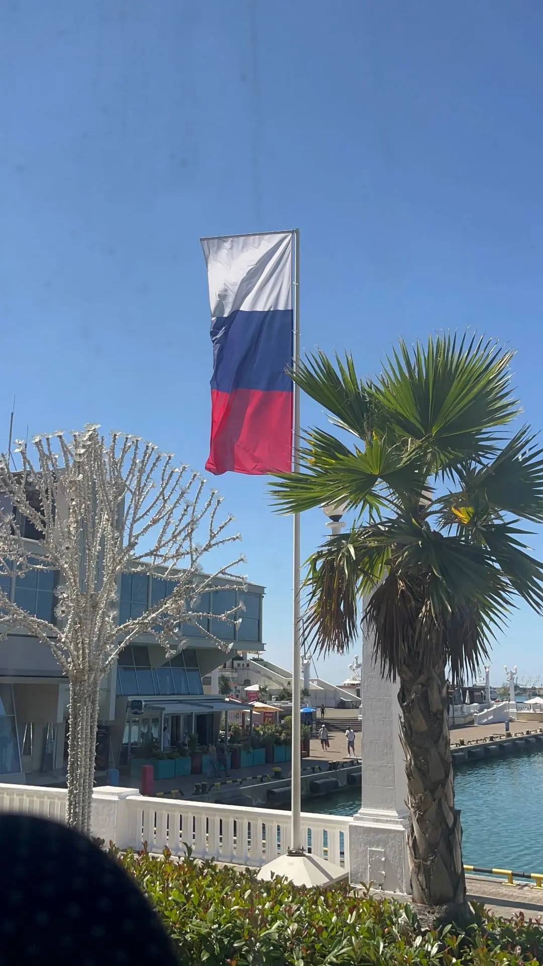 🇷🇺Белый, синий, красный – самый красивый🇷🇺